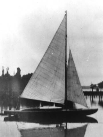 3tunczyk