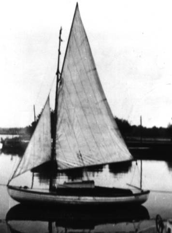 5meduza