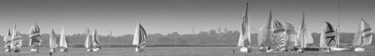panorama x